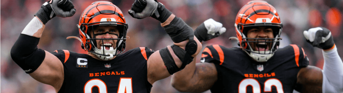 Cincinnati Bengals Maç Biletleri