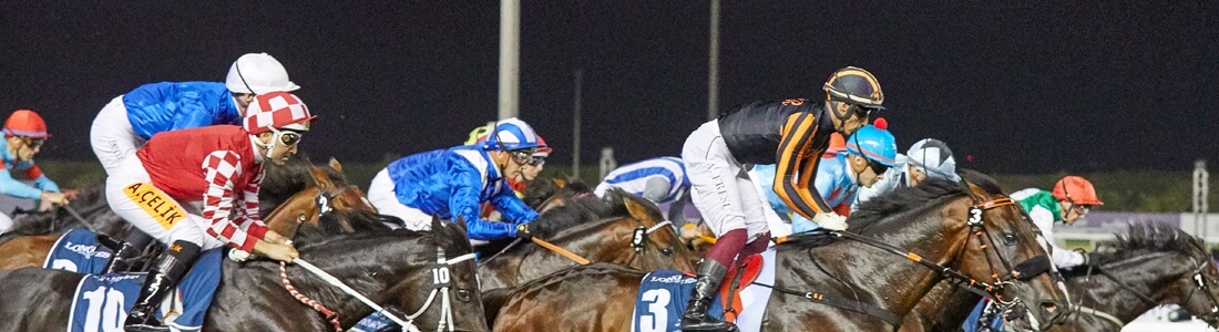 Entradas DUBAI WORLD CUP Horse Race