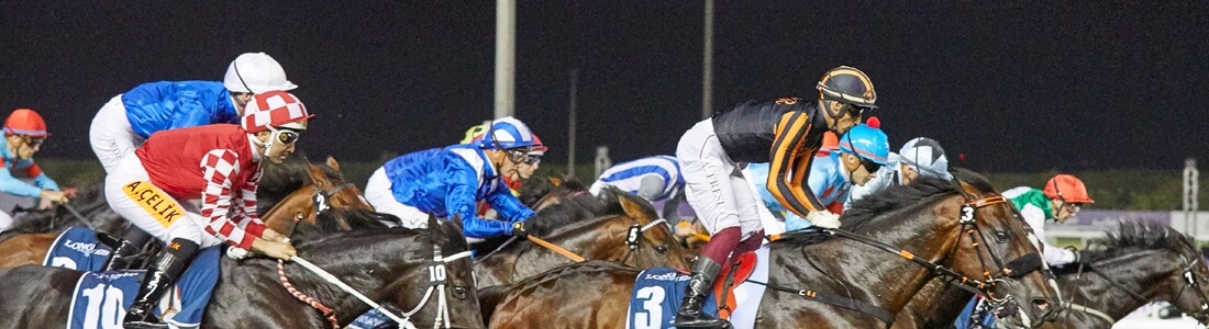 Biglietti DUBAI WORLD CUP Horse Race