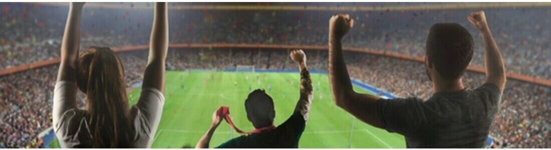 Bodrum FC Tickets