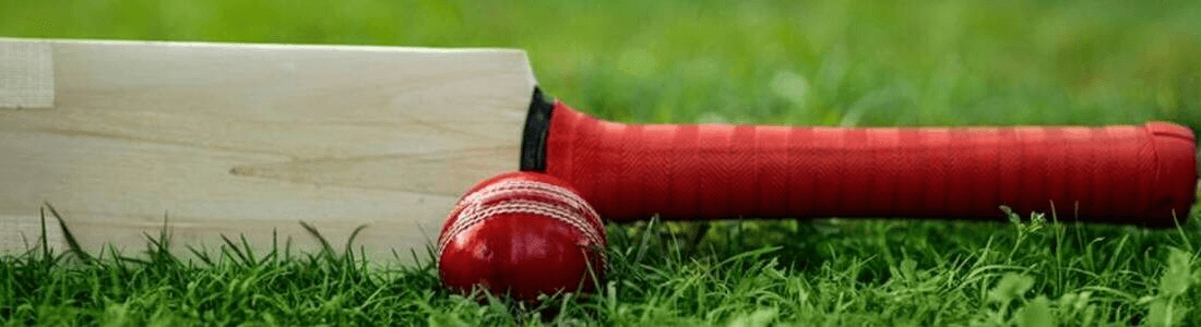 Indian Premier League